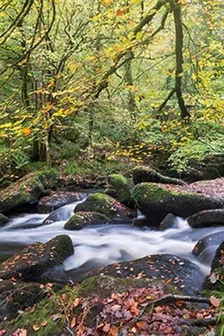 Rivière d’Argent sous la lumière d’automne.