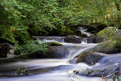 Rivière d’Argent à Huelgoat en pose longue