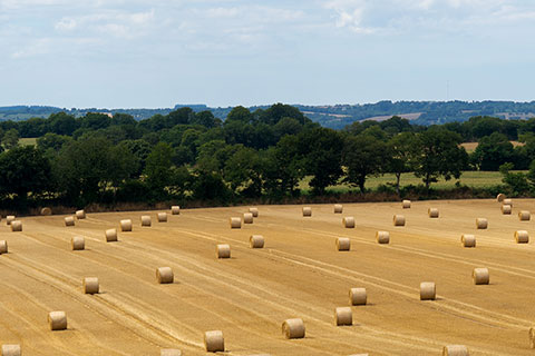 Round de foin en Centre Bretagne