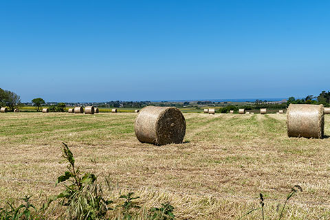 Round de foin à Saint-Pabu