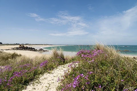 Plage des Amiets à Cléder vue sur le littoral breton et la mer