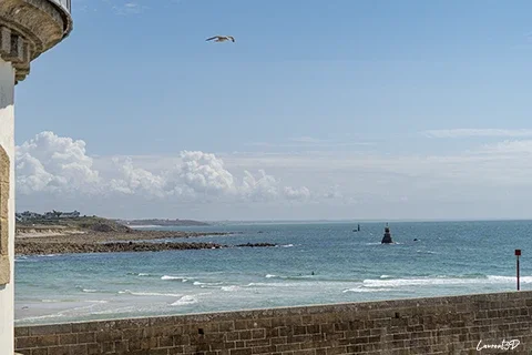Vue sur la mer depuis le môle du Raoulic à Audierne, avec un mur de pierre au premier plan, un goéland en vol et la mer aux nuances glaz.