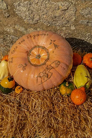 Grande courge gravée entourée de coloquintes sur un lit de paille à Meneham