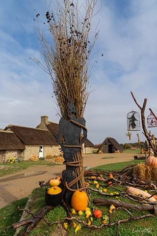 Silhouette d’un personnage entouré de citrouilles dans le cadre de la fête d’Halloween à Meneham