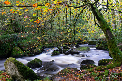 Pose longue sur la rivière d’Argent dans la forêt de Huelgoat