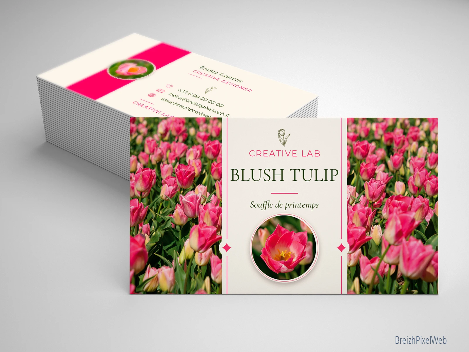 Blush Tulip