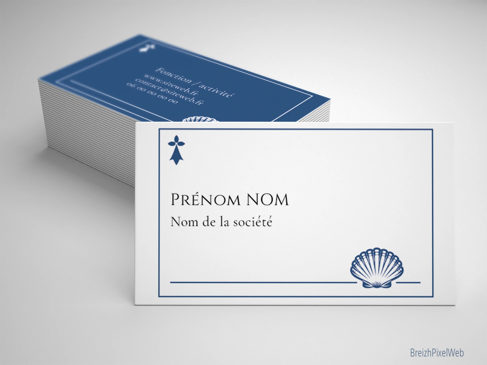 Coquille Saint-Jacques frise