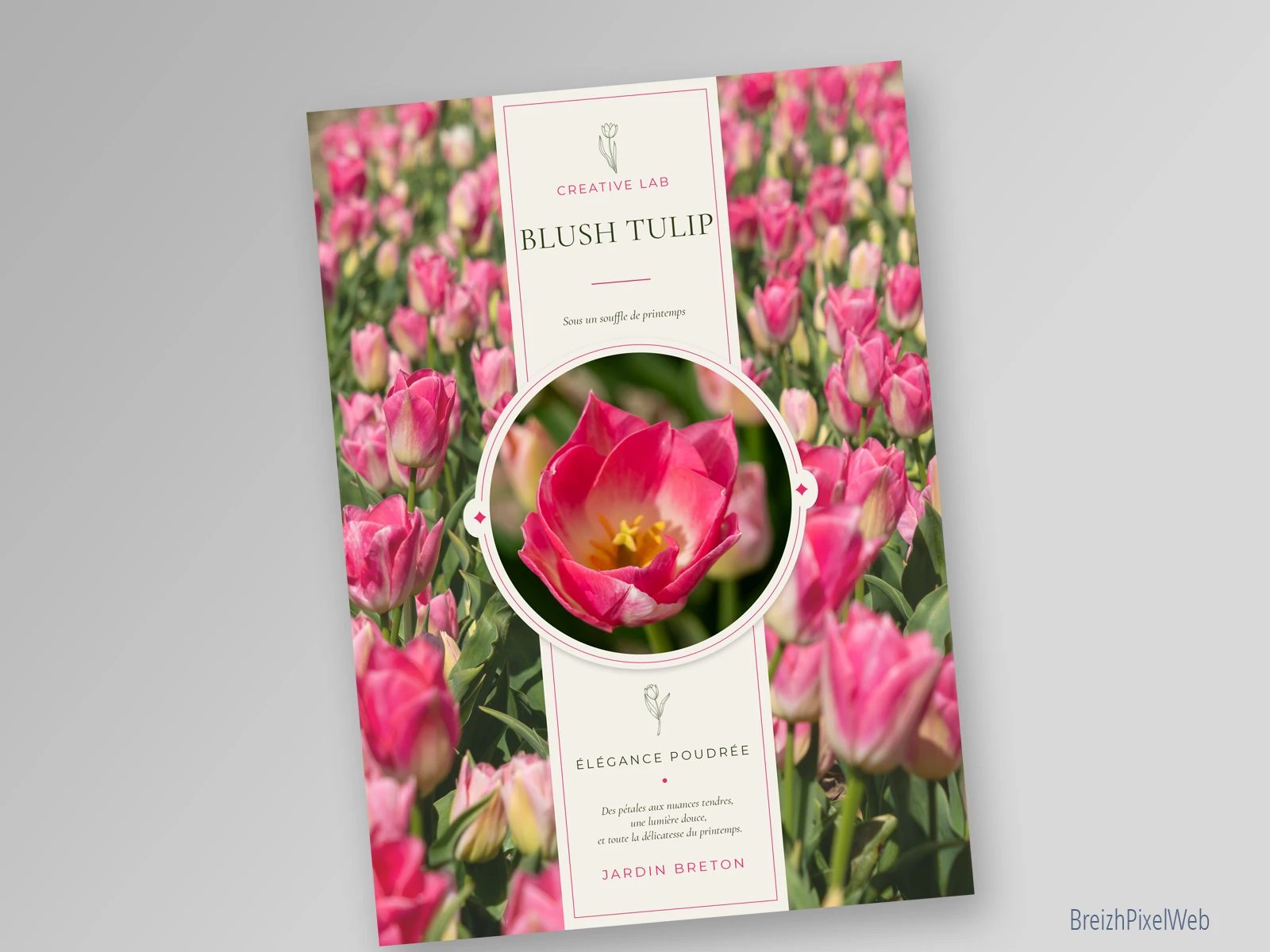 Recto — Blush Tulip