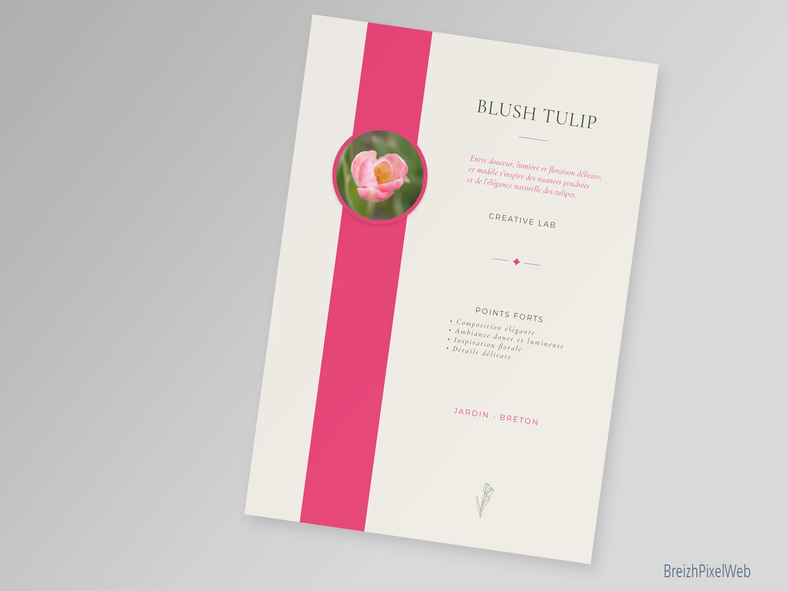 Verso — Blush Tulip