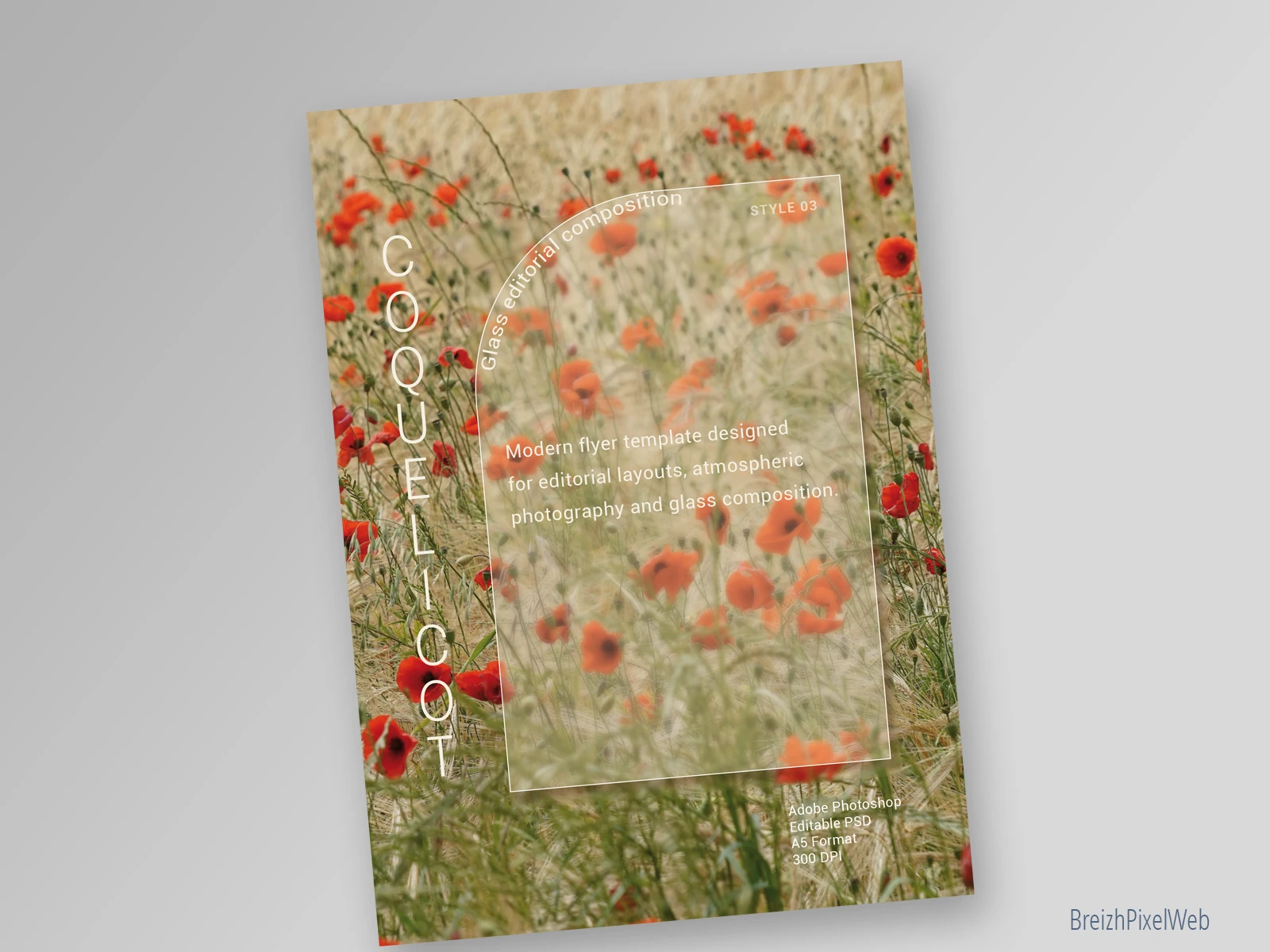 Recto — Coquelicot Glass
