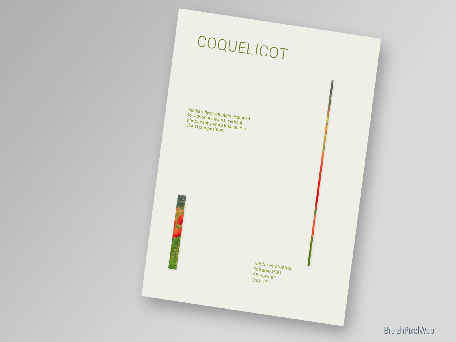 Verso — Coquelicot