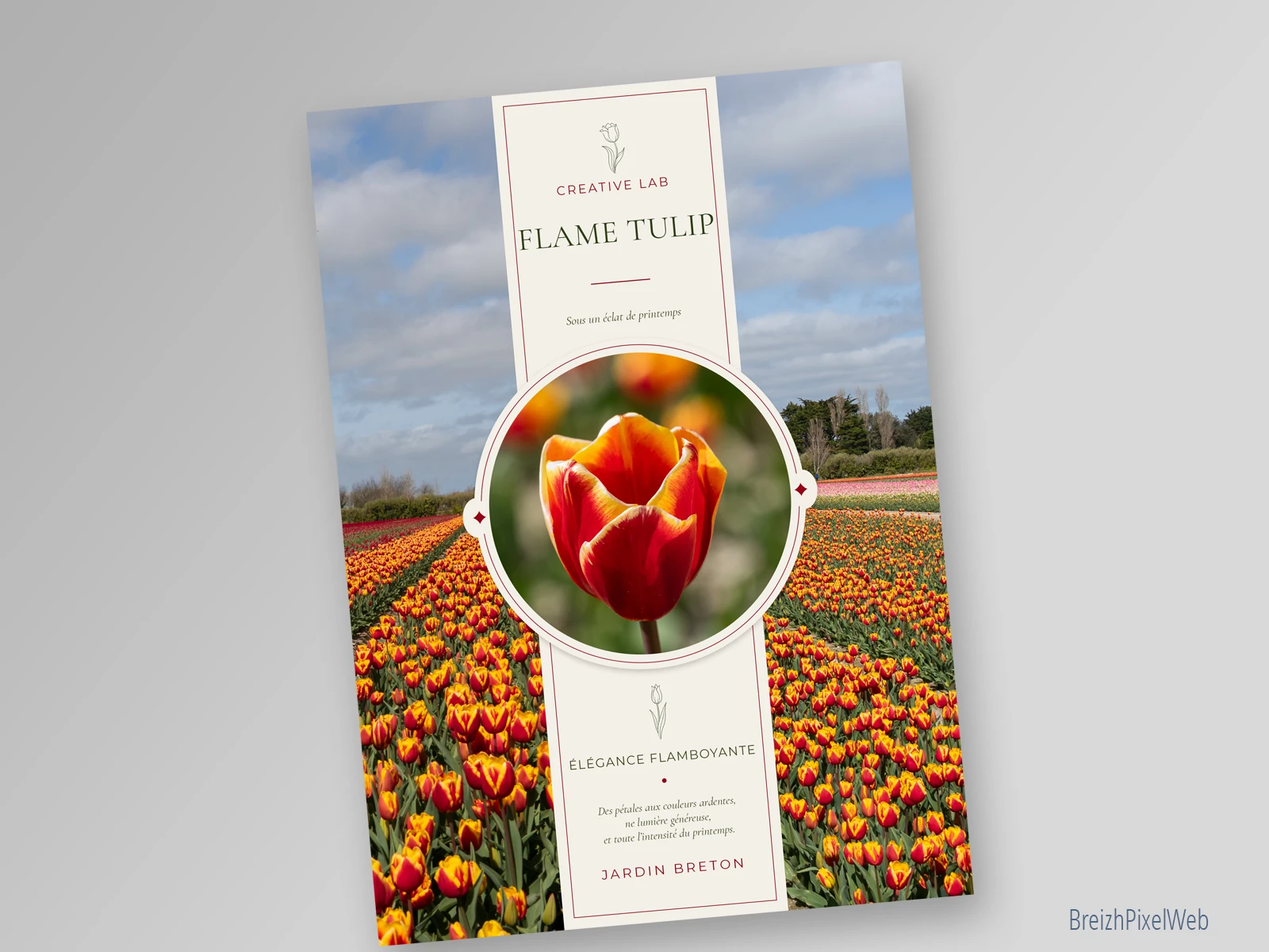 Recto — Flame Tulip