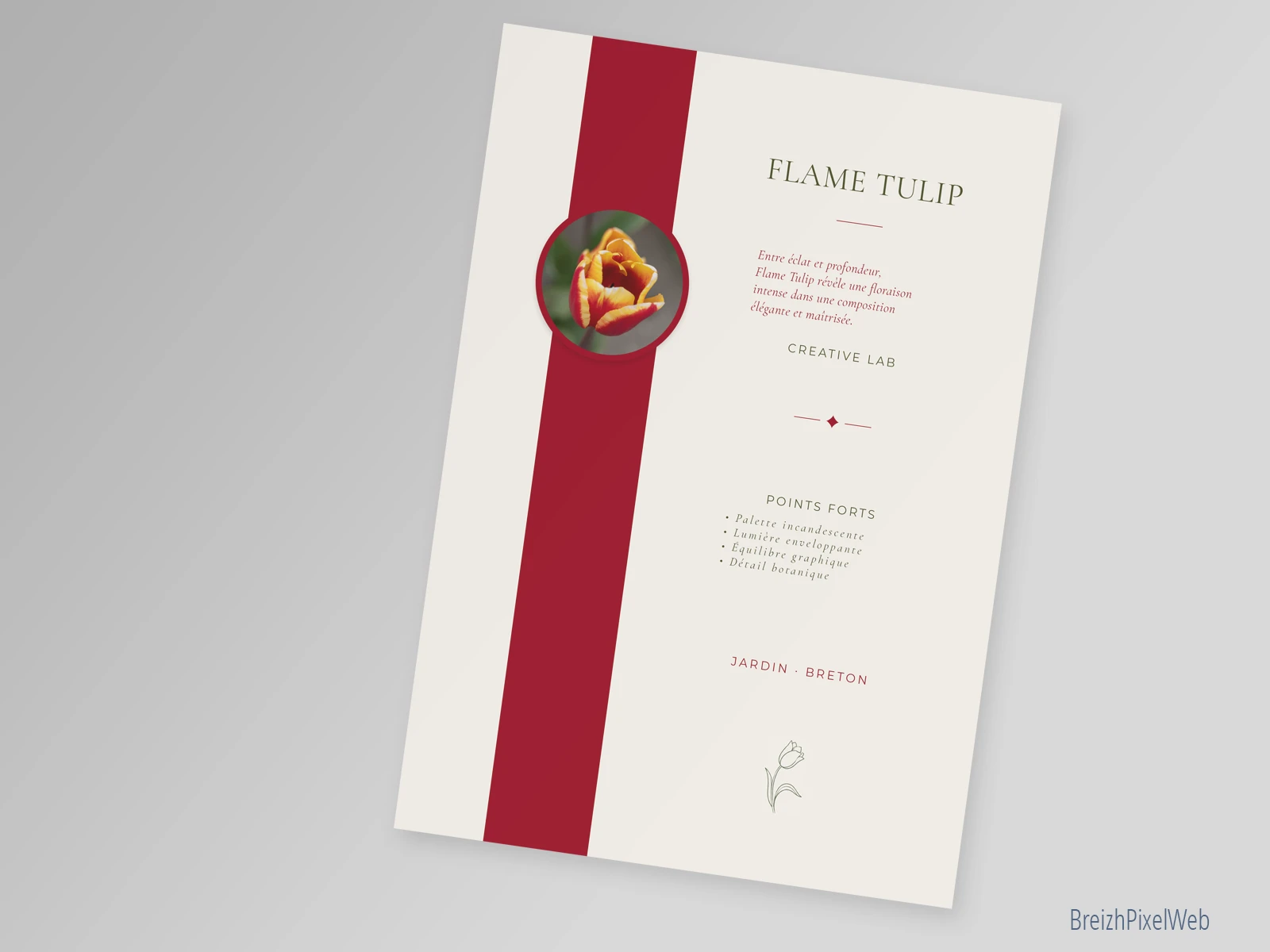 Verso — Flame Tulip