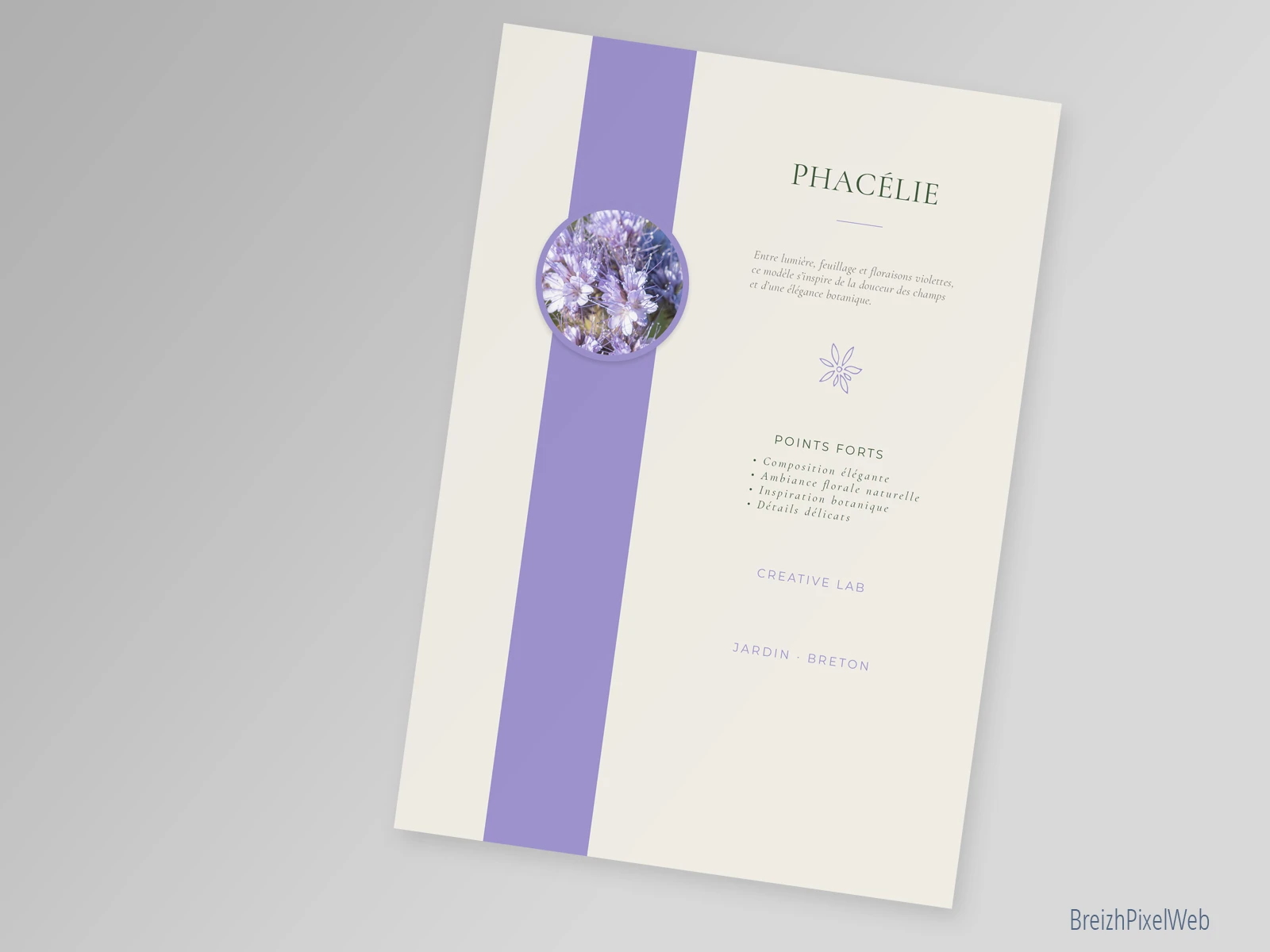 Verso — Phacélie