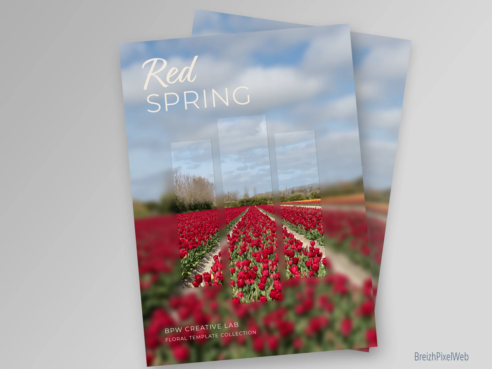 Red Spring