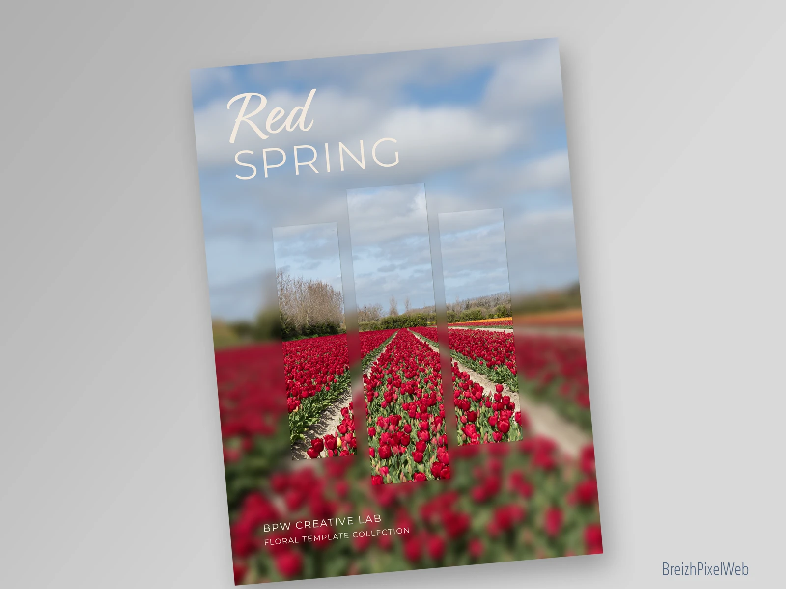 Recto — Red Spring