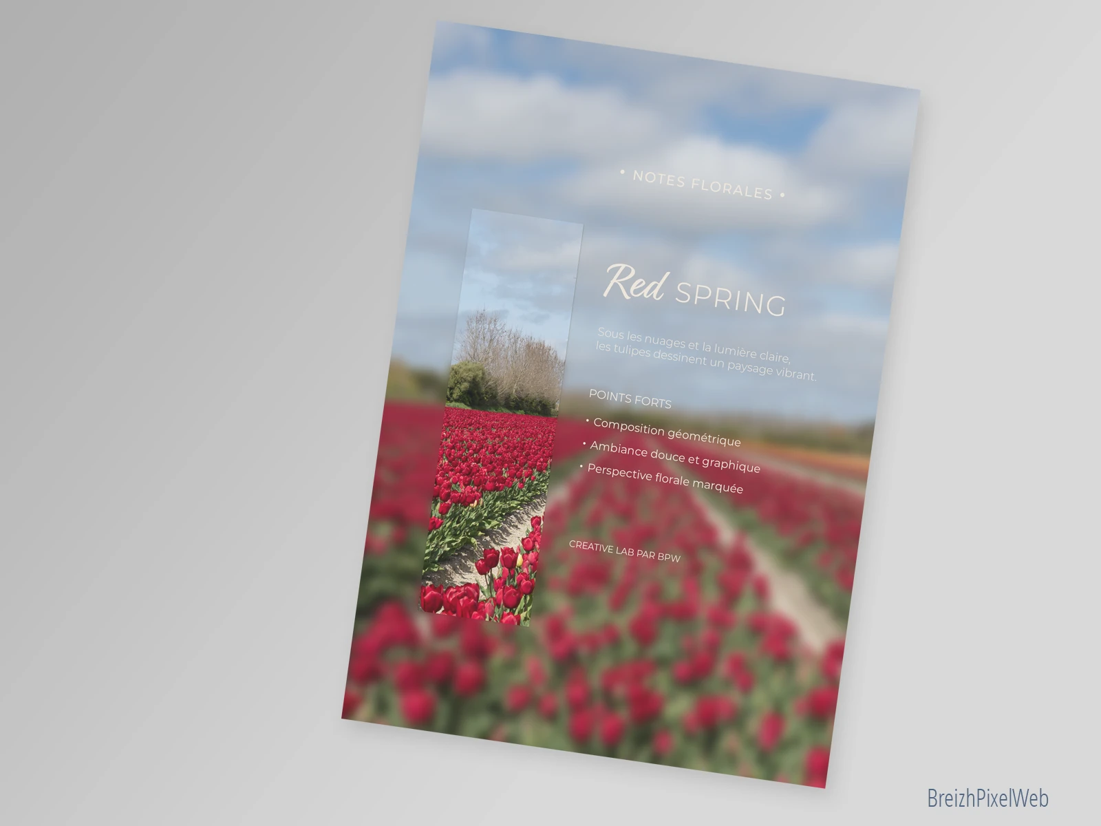 Verso — Red Spring
