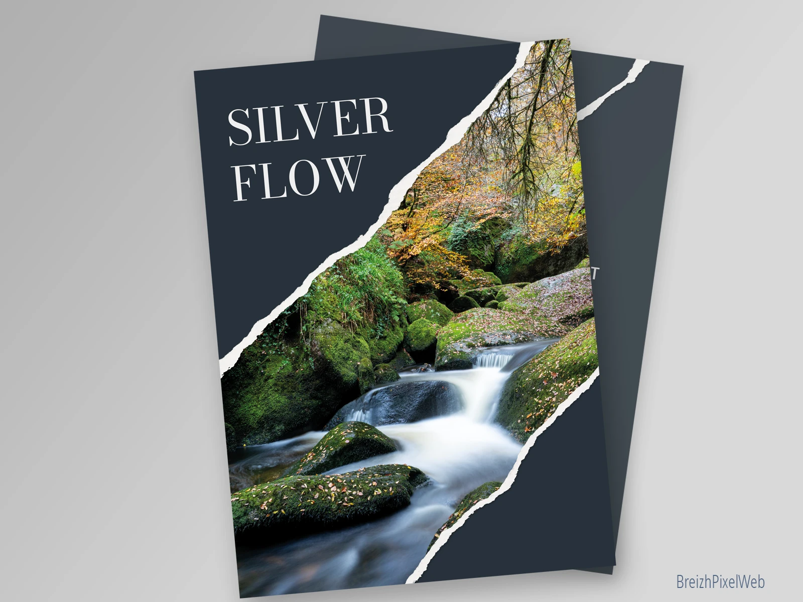 Silver Flow