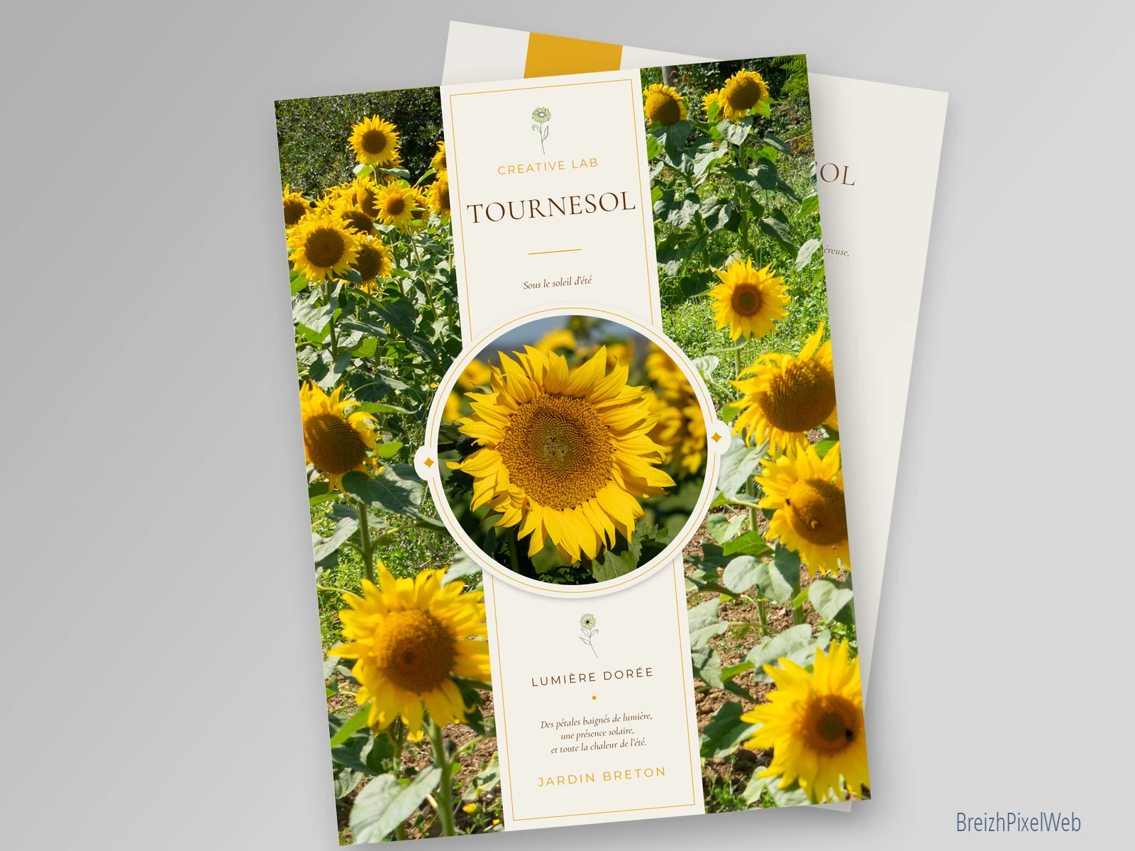 Tournesol