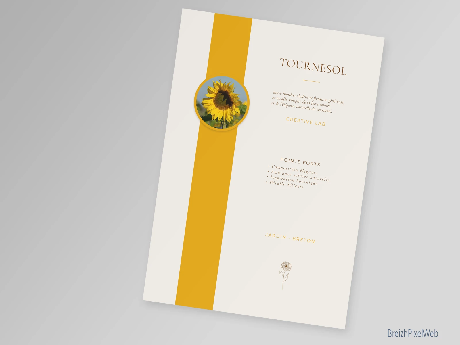 Verso — Tournesol