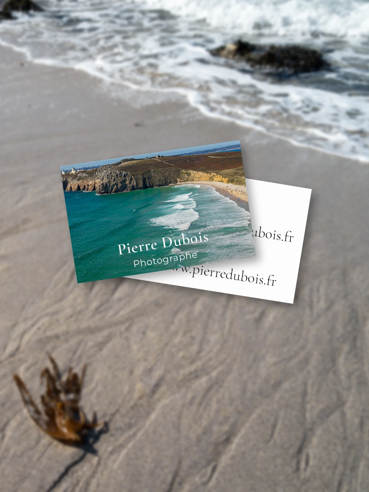 Templates cartes de visite personnalisables pour les principaux logiciels de la suite Adobe