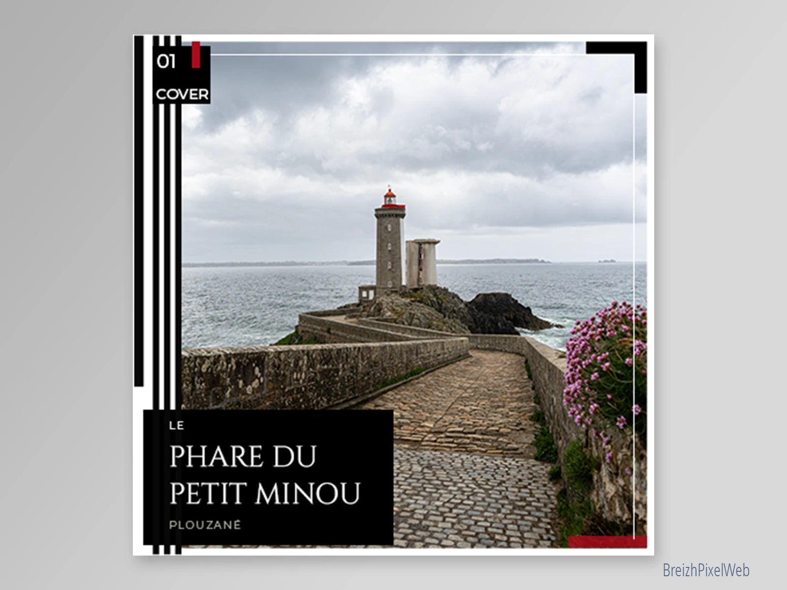 Kit Feed 6 — Petit Minou — visuel 01