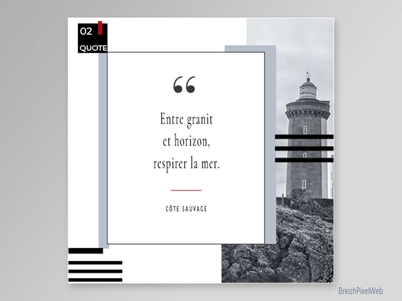 Kit Feed 6 — Petit Minou — visuel 02