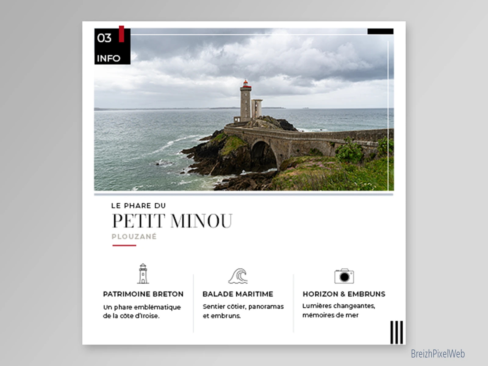 Kit Feed 6 — Petit Minou — visuel 03