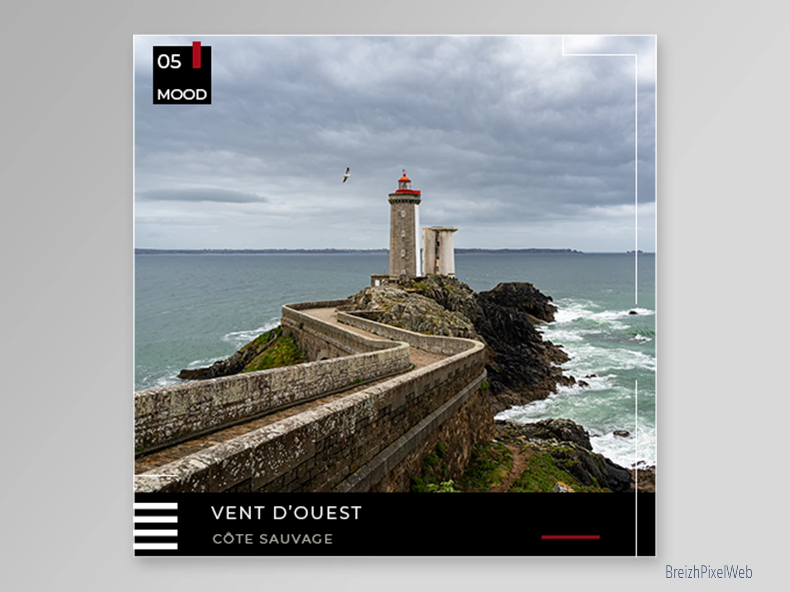 Kit Feed 6 — Petit Minou — visuel 05