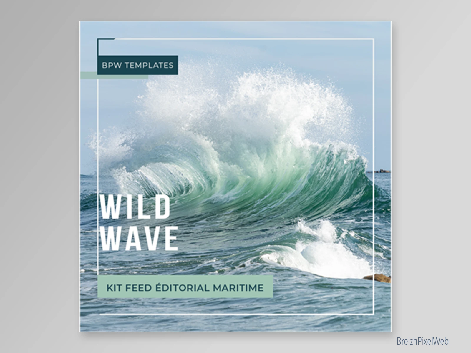 Kit Feed 6 — Wild Wave — visuel 01