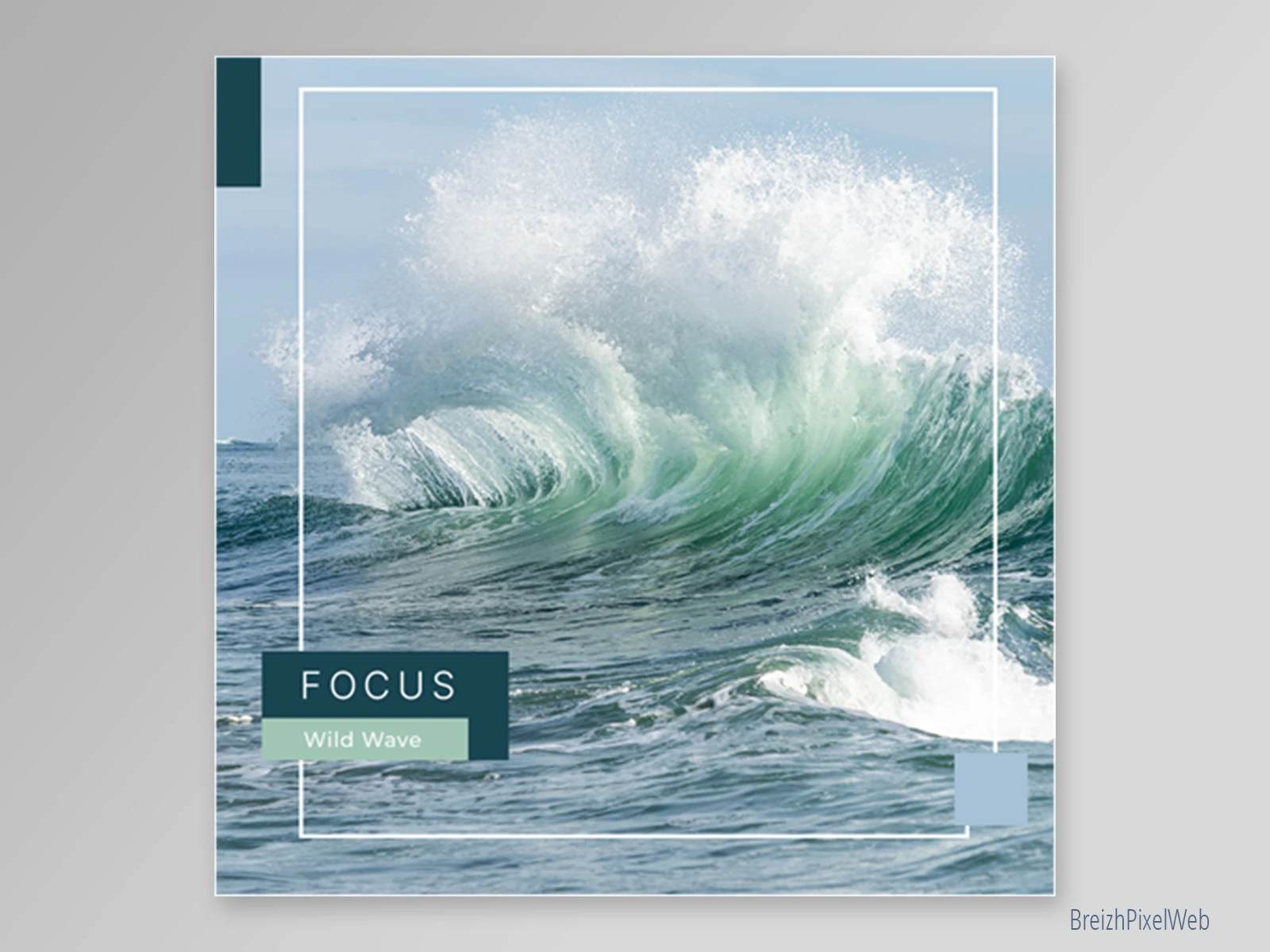 Kit Feed 6 — Wild Wave — visuel 04