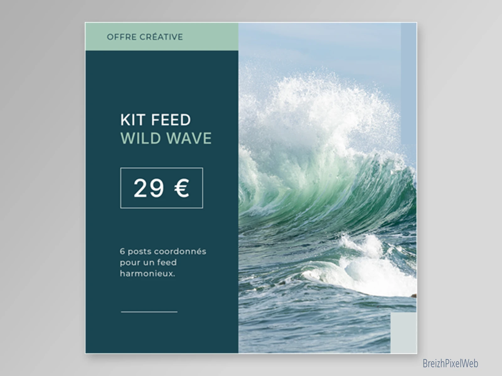Kit Feed 6 — Wild Wave — visuel 05